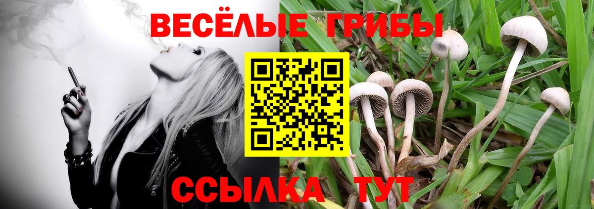 Красноярск  Псилоцибиновые грибы мухоморы  Вход с VPN  Псилоцибиновые грибы мухоморы 